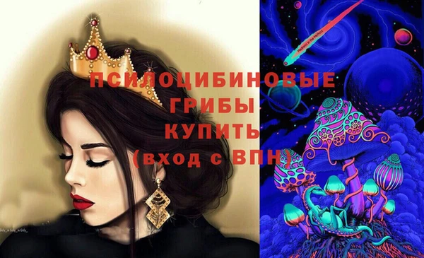 хмурый Алзамай