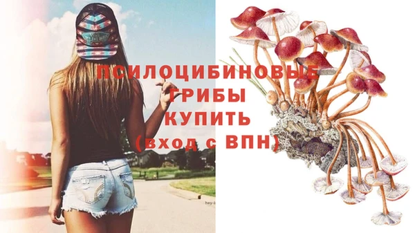 спиды Алексеевка