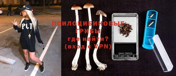 хмурый Алзамай