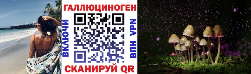где найти наркотики  Бабаево  Псилоцибиновые грибы прущие грибы 